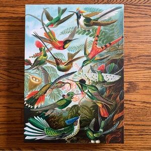 Hummingbird Artist Puzzle